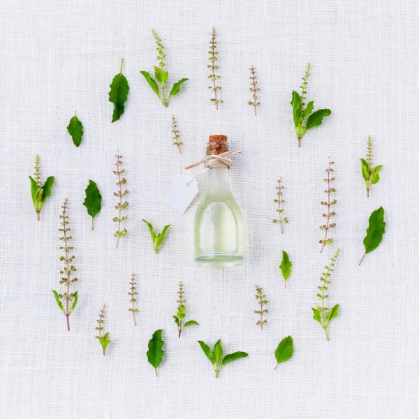plant white leaf flower aroma pattern 1228656 pxhere.com